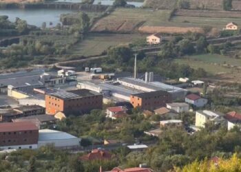 Gjekmarkaj: Fabrika e përpunimit të mbetjeve shtazore në Lezhë ndot zonën
