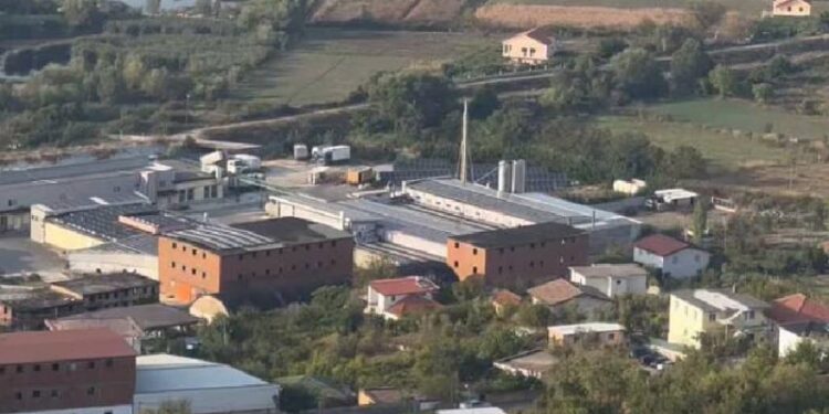 Gjekmarkaj: Fabrika e përpunimit të mbetjeve shtazore në Lezhë ndot zonën