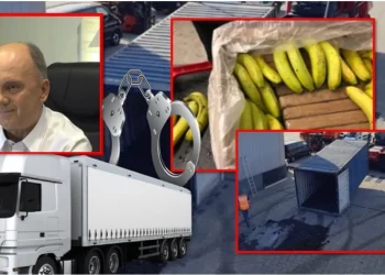 Kokaina nën lëkurët e lopëve dhe kokaina nën lëkurët e bananeve “Bana King” të Trifon Muratajt