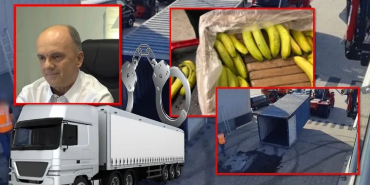 Kokaina nën lëkurët e lopëve dhe kokaina nën lëkurët e bananeve “Bana King” të Trifon Muratajt