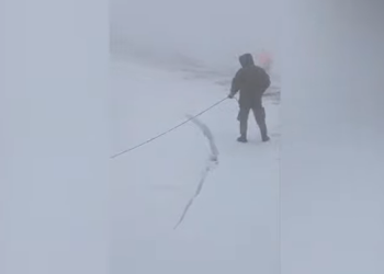 Dëbora 40 cm, shpëtohen 3 banorë dhe 30 kuaj në Malin e Korabit