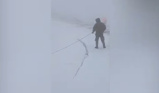 Dëbora 40 cm, shpëtohen 3 banorë dhe 30 kuaj në Malin e Korabit