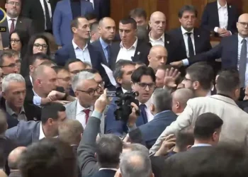 VIDEO/ Sherr mes deputetëve në parlamentin serb