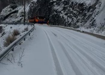 Bien reshjet e para të dëborës