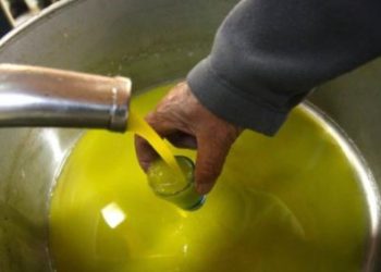 Shisnin vajra të përzierë për vaj ulliri, arrestohet babai, shpallet në kërkim i biri
