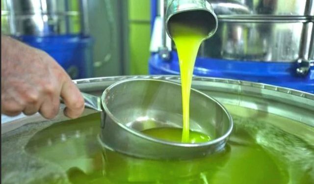 “Kurora” e shtrenjtë e vajit të ullirit