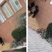 SPAK hetimet ndaj kryebashkiakut, gazetari: Veliaj po përjeton sot “vdekjen” e tij politike