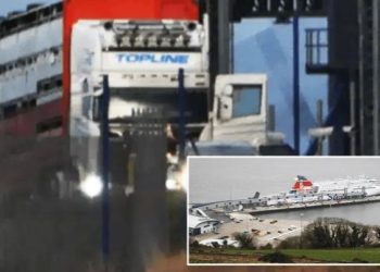 Trafikoi 14 shqiptarë në Britani, arrestohet shoferi irlandez