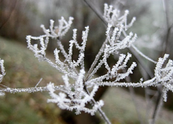 Parashikimi i motit, temperaturat arrijnë deri në -6 gradë celsius
