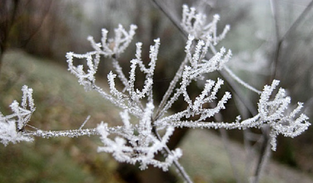 Parashikimi i motit, temperaturat arrijnë deri në -6 gradë celsius