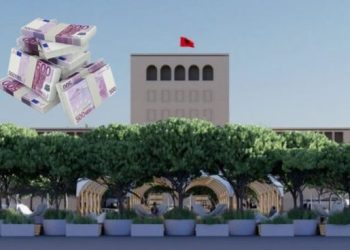 Lekët “rrush e kumbulla”/ “Hënët e Tiranës” e cila kushton 390 mijë euro vendoset tek Politekniku
