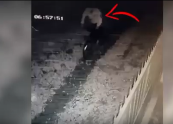 Video/ Momenti kur autori i vrasjes së Ramazan Matajt largohet me biçikletë pas krimit