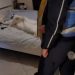 I dënuar për vrasje në Gjermani, arrestohet një person në Tiranë