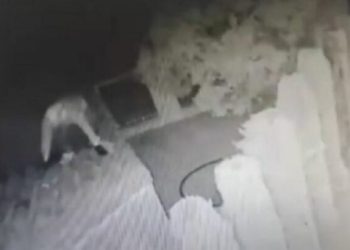 Çmontohet banda e ‘Skifterëve’ shqiptarë në Spanjë