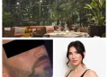 Ermir Ndreaj bos kokaine në Belgjikë, pronar i restorantit Savoy Garden te Deliorgji me avokate Elirën, Ndreaj lidhje me Eldi Dizdarin, Evropa i kërkon, Shqipëria i strehon
