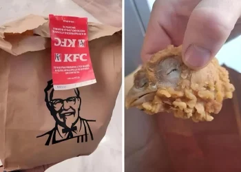 KFC mish pule me salmonelë, mafia shqiptaro-gjeorgjane krime kundër shëndetit, pastrim parash dhe mashtrim me pasoja të rënda