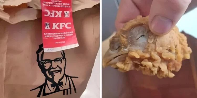 KFC mish pule me salmonelë, mafia shqiptaro-gjeorgjane krime kundër shëndetit, pastrim parash dhe mashtrim me pasoja të rënda