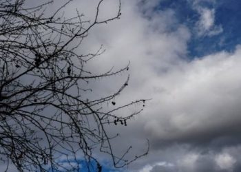 Parashikimi i motit për ditën e sotme