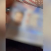 Falsifikonin dokumente, goditet grupi i strukturuar kriminal, 6 të arrestuar në Tiranë