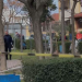 Detaje/ Djali plagos me armë të dashurën, më pas vret veten, trupat u gjetën në makinë