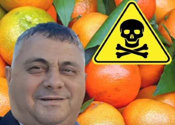 Fatlli Adilaj, drejtori i AKU në Berat që lejoi shitjen e mandarinave me helm