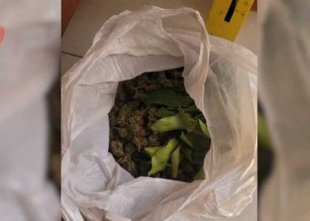 Shisnin k*nabis në qytetin e Elbasanit, 3 në pranga, e pësojnë edhe 3 klientët