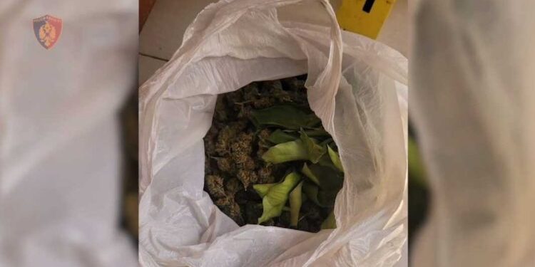 Shisnin k*nabis në qytetin e Elbasanit, 3 në pranga, e pësojnë edhe 3 klientët