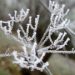 Temperatura deri në -7 gradë Celcius, parashikimi i motit për javën që vjen