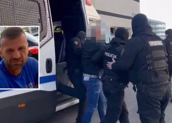 Ekzekutimi i Briken Sanajt, ekstradohet nga Gjermania Vladimir Kola