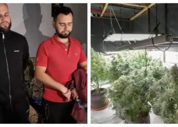 Hapën shtëpi bari në Laknas, kush janë dy vëllezërit e kthyer nga Anglia