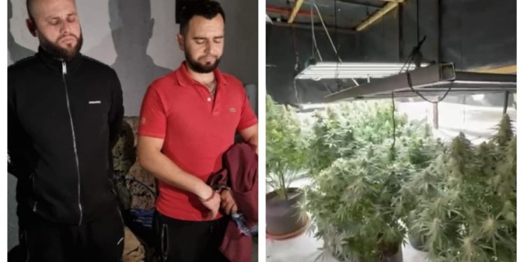 Hapën shtëpi bari në Laknas, kush janë dy vëllezërit e kthyer nga Anglia