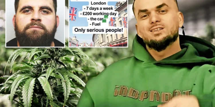 Shqiptarët në Angli hapin në TikTok “qendër punësimi”, The Sun: Rekrutojnë shitës dhe transportues droge