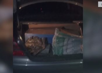 Trafikim armësh drejt Maqedonisë së Veriut, tre të arrestuar në Elbasan