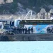 Përdh*nues dhe të varur nga dr*ga, kush janë 40 emigrantët e sjellë në Shqipëri