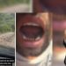 I riu denoncoi gjendjen skandaloze të rrugës, dy zyrtarët e PS e dhunojnë (VIDEO)