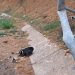 Identifikohen dy viktimat e aksidentit në autostradën Milot-Morinë