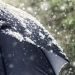 Dëborë në verë, temperaturat arrijnë deri në -3 gradë celsius në fundjavë