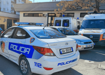 Tentuan të vrisnin nënë e bir, arrestohet 66-vjeçari në Fier, në kërkim i biri