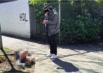 Gjermani/ Shqiptari plagos me thikë gruan në sy të fëmijës 7 vjeç