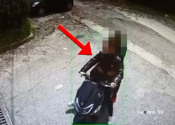 Trafik kan*bisi me postë nga SHBA drejt Tiranës dhe Shkodrës, 3 të arrestuar e 2 në kërkim