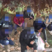 Mori 6 refugjatë në kufi me Greqinë e do i çonte në Mal të Zi, arrestohet siriani në Devoll