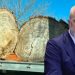 ‘Uria’ italiane për pyjet shqiptare/ Nga tenderat abuzivë, tek raportet shqetësuese