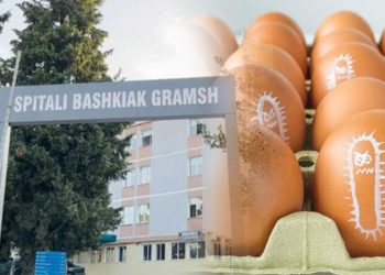 Infektimi me salmonelë i 17 fëmijëve në Gramsh, përgjigjet e analizave (Foto)