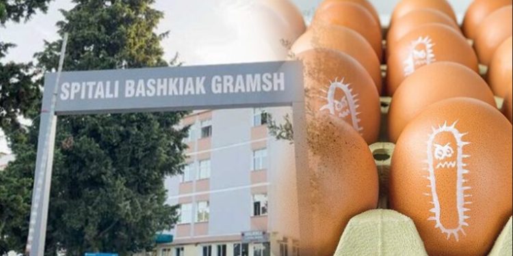 Infektimi me salmonelë i 17 fëmijëve në Gramsh, përgjigjet e analizave (Foto)