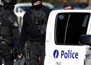 Operacion anti-dr*gë në Belgjikë, shkatërrohet banda italo-shqiptare