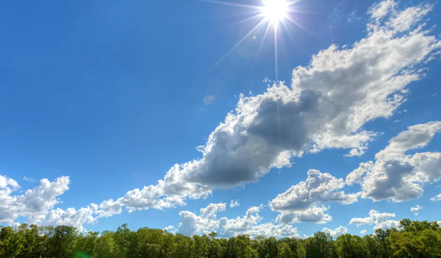 Temperatura të larta, termometri shënon 31 gradë Celsius