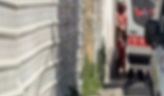 Foto/ Gjysmë i zhveshur dhe i gjakosur, momenti kur shoqërohet autori i vrasjes në Shkodër