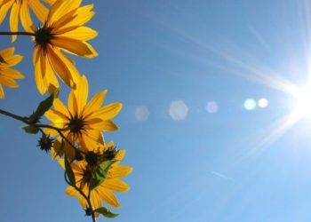 Parashikimi i motit, diell dhe temperatura deri në 29 gradë gjatë ditës