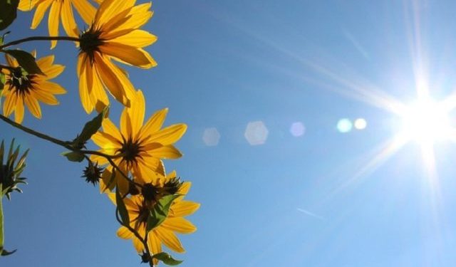 Parashikimi i motit, diell dhe temperatura deri në 29 gradë gjatë ditës