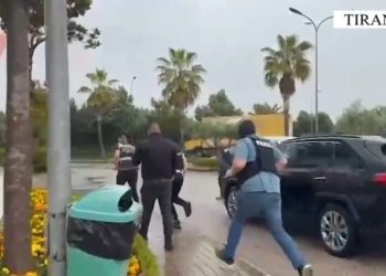 Sillnin armë nga Kosova dhe i shisnin në Tiranë, zbardhen emrat e 10 të arrestuarve